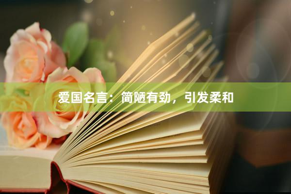 爱国名言：简陋有劲，引发柔和